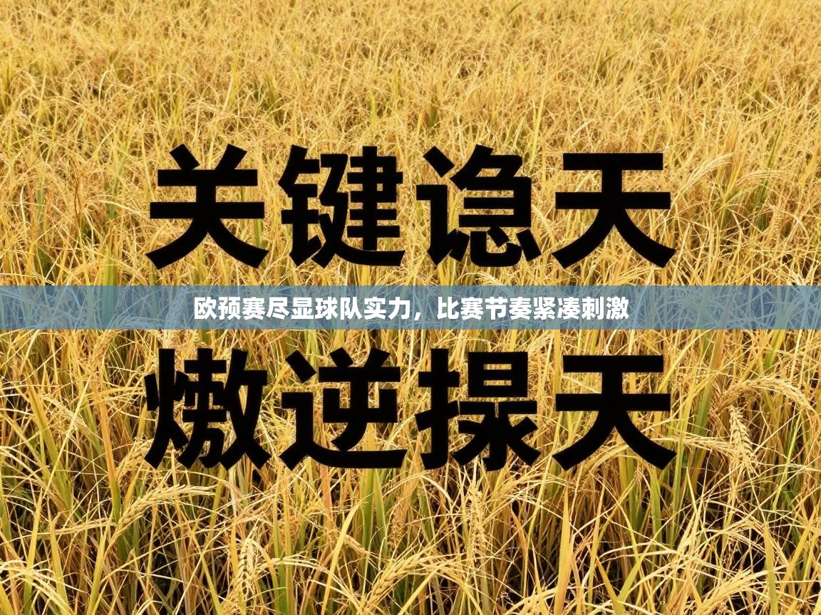 欧预赛尽显球队实力，比赛节奏紧凑刺激