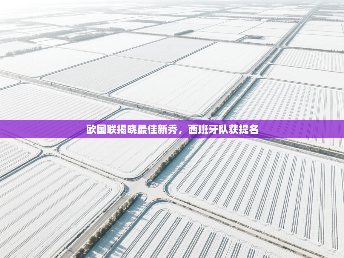 欧国联揭晓最佳新秀，西班牙队获提名