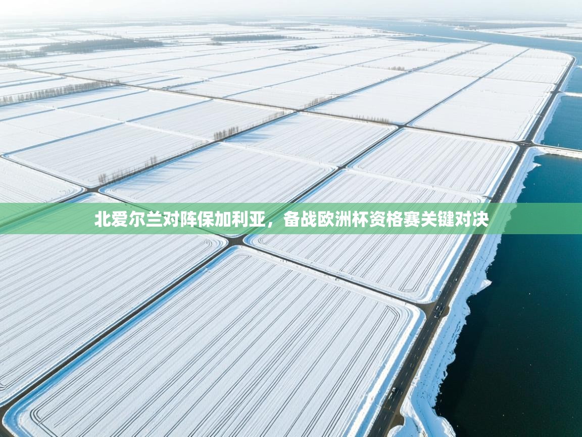 北爱尔兰对阵保加利亚，备战欧洲杯资格赛关键对决  第1张