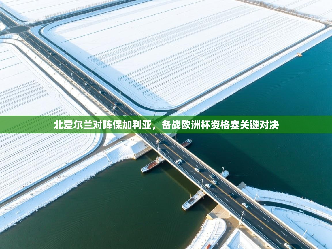 北爱尔兰对阵保加利亚，备战欧洲杯资格赛关键对决  第2张